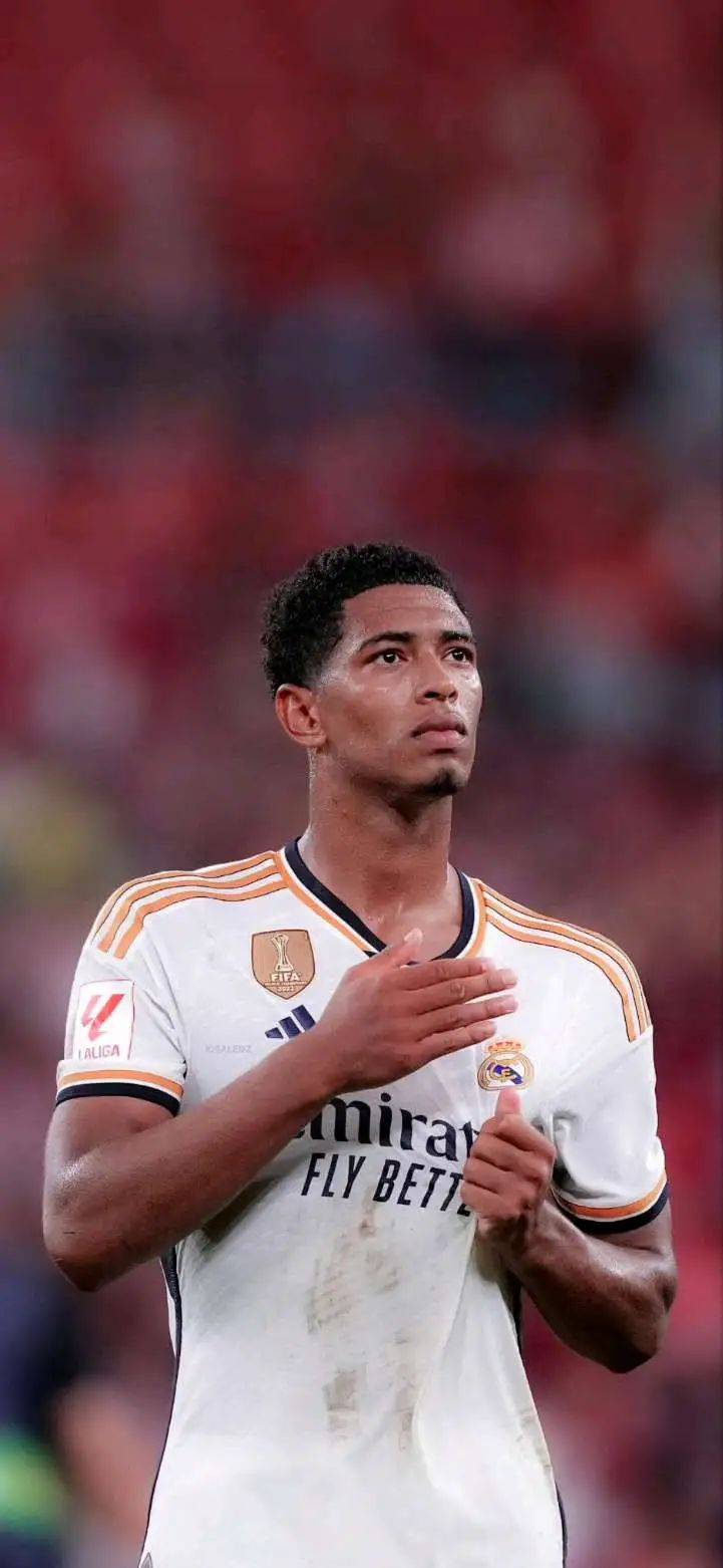 四分卫阅读 四分卫阅读