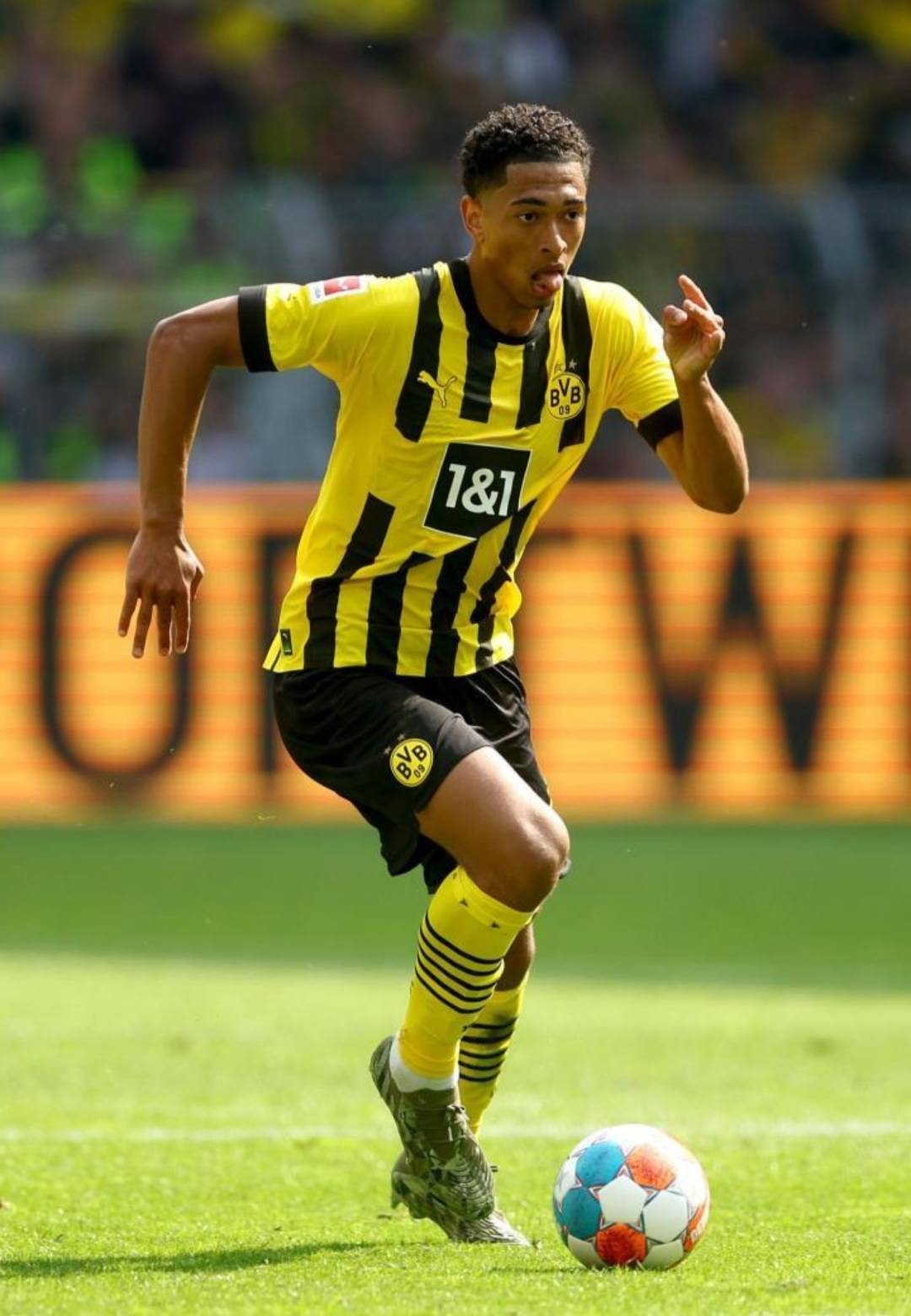 凯尔特人主 凯尔特人主